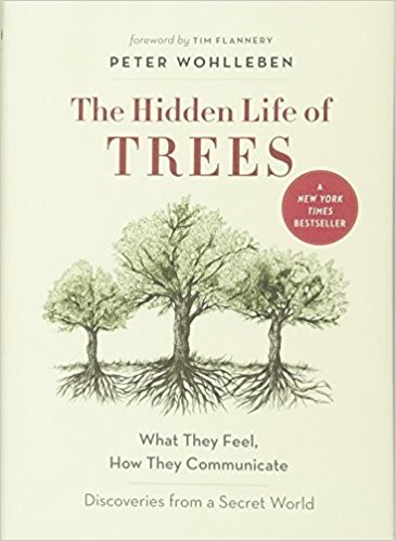 The Hidden Life of Trees: What They Feel, How They Communicate—Discoveries from a Secret World