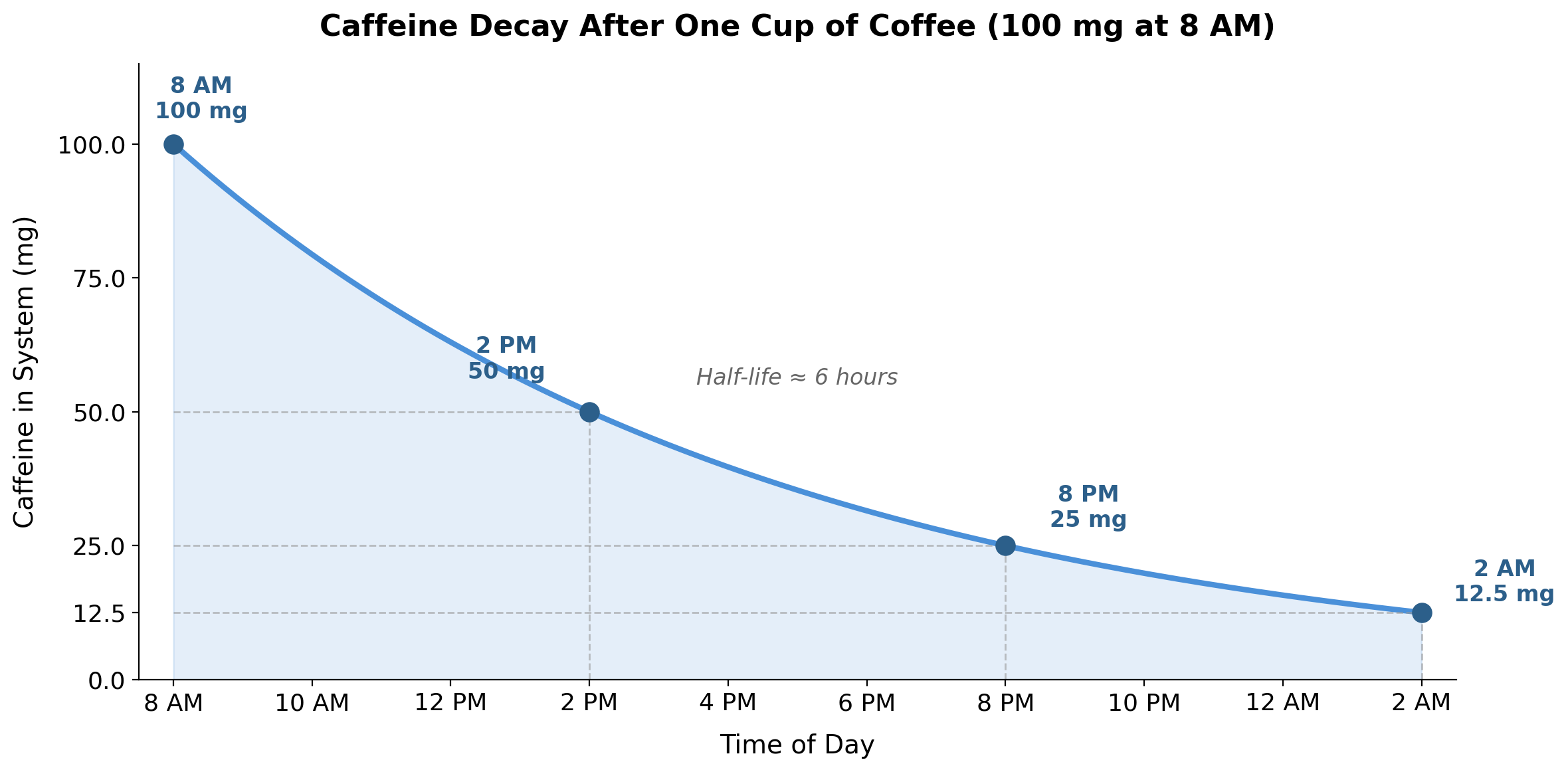Exponential decay curve showing caffeine in the bloodstream from a 100 mg cup at 8am, with 50 mg at 2pm, 25 mg at 8pm, and 12.5 mg at 2am.