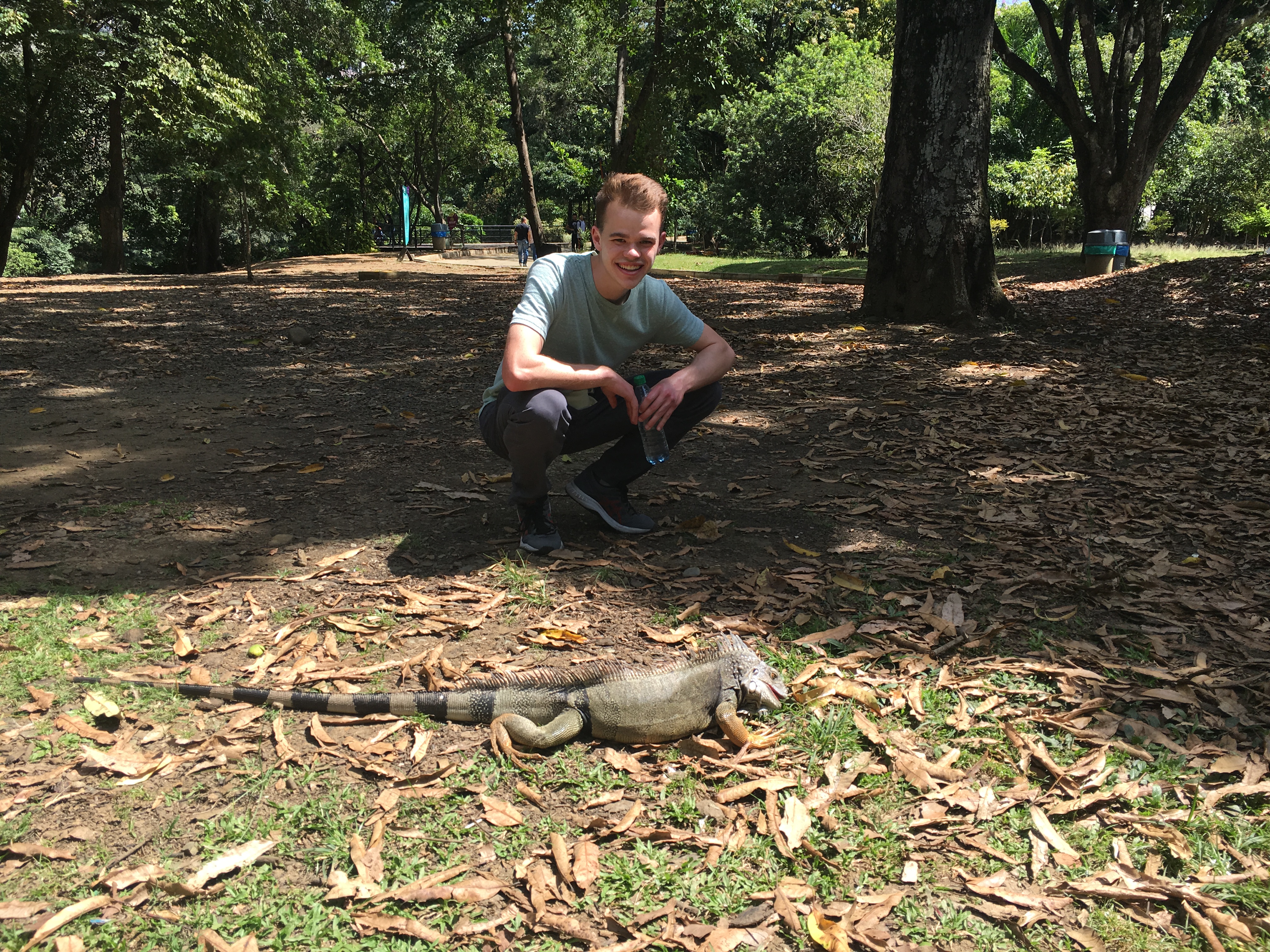 Iguana at the Botanical Gardens